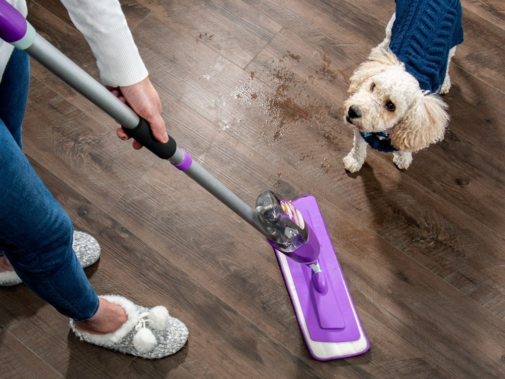 How Do I Clean My House After Parvo at Franklin Oubre blog
