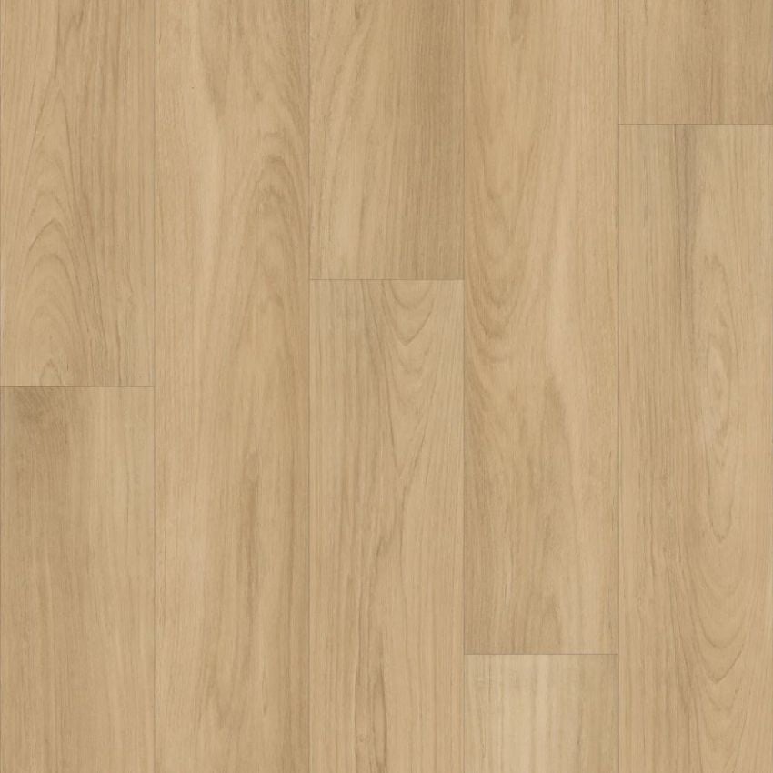 Shaw Floorte Distinction Plus Golden Timber 2045V-02101 WPC Vinyl Flooring