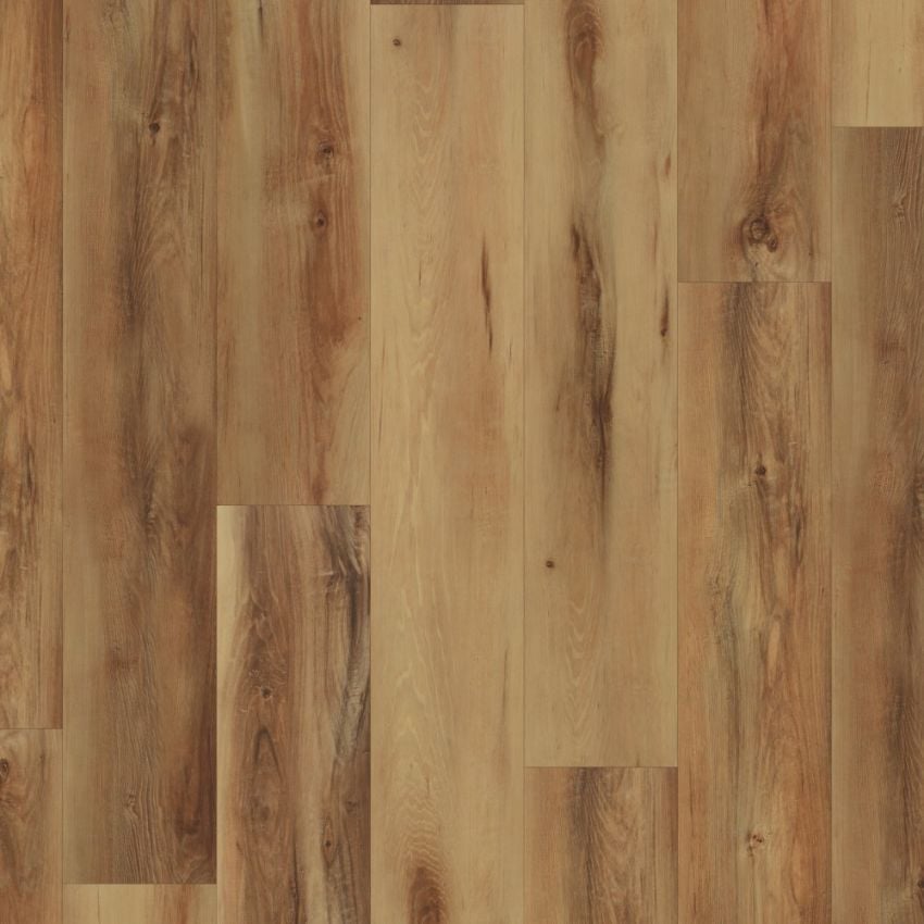 COREtec PRO Plus Belmont Hickory VV017-01005 SPC Vinyl Flooring